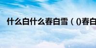什么白什么春白雪(()春白雪是什么詞語)