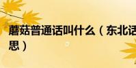 蘑菇普通話叫什么(東北話中的蘑菇是什么意思)
