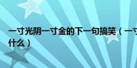 一寸光陰一寸金的下一句搞笑(一寸光陰一寸金的下一句是什么)