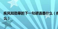 疾風知勁草的下一句諺語是什么(疾風知勁草的下一句是什么)