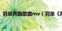 羽泉奔跑歌曲mv(羽泉《奔跑》歌詞賞析)