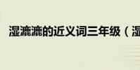 濕漉漉的近義詞三年級(濕漉漉的近義詞)