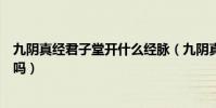 九陰真經君子堂開什么經脈(九陰真經君子堂修經脈這樣對嗎)