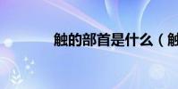 觸的部首是什么(觸的部首)