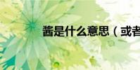 醬是什么意思(或者某某醬)