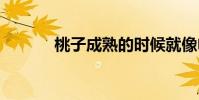 桃子成熟的時候就像電影一樣。