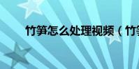 竹筍怎么處理視頻(竹筍怎么處理)