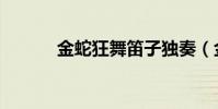 金蛇狂舞笛子獨奏(金蛇醉心)