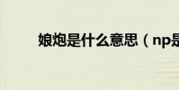 娘炮是什么意思(np是什么意思)
