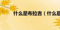 什么是布拉吉(什么是布朗運動)