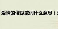 愛情的傻瓜歌詞什么意思(愛情的傻瓜歌詞)