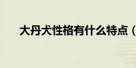 大丹犬性格有什么特點(大丹犬性格)