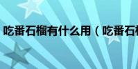 吃番石榴有什么用(吃番石榴有什么好處呢)