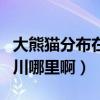 大熊貓分布在四川的哪里（大熊貓的產地在四川哪里啊）