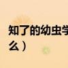 知了的幼蟲學名叫什么（知了的幼蟲學名叫什么）