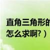直角三角形的斜邊怎樣求（直角三角形的斜邊怎么求啊?）