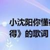 小沈陽你懂得歌曲mp3下載（小沈陽《你懂得》的歌詞）