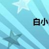 白小白和高火火（白小俺）