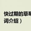 快過期的草莓歌詞介紹英文（快過期的草莓歌詞介紹）