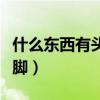 什么東西有頭無腳打一生肖（什么東西有頭無腳）