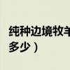 純種邊境牧羊犬價格（純種邊境牧羊犬價格是多少）