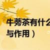 牛蒡茶有什么功效和禁忌（牛蒡茶有什么功效與作用）