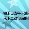 鋤禾日當午汗滴禾下土這首詩的作者是誰（鋤禾日當午汗滴禾下土這句詩的作者是誰）