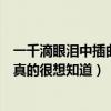 一千滴眼淚中插曲《四季》是誰唱的（麻煩大家幫幫忙啊我真的很想知道）