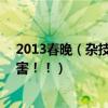 2013春晚（雜技 冰與火 的表演者 是哪個雜技團的啊 好厲害！！）
