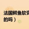 法國鱷魚軟膏是正規的嗎（法國鱷魚軟膏是真的嗎）