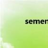semen是什么品牌（semens）
