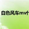 白色風車mv什么意思（白色風車mv女主角）