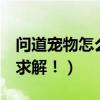 問道寵物怎么強化最快（問道寵物怎么強化！求解！）
