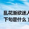 亂花漸欲迷人眼下句是什么（亂花漸欲迷人眼下句是什么）