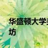 華盛頓大學美術館將于6月2日提供家庭工作坊