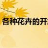 各種花卉的開放時間（各種花卉的開放時間）