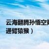云海翻騰孫悟空第五集（云海翻騰孫悟空第幾集是孫悟空打通臂猿猴）