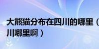 大熊貓分布在四川的哪里(大熊貓的產地在四川哪里啊)