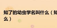 知了的幼蟲學名叫什么(知了的幼蟲學名叫什么)