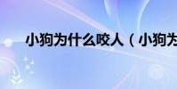 小狗為什么咬人(小狗為什么流眼淚)