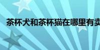 茶杯犬和茶杯貓在哪里有賣(多少錢一只)