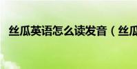 絲瓜英語怎么讀發音(絲瓜英語怎么翻譯)