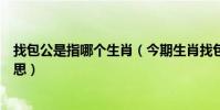 找包公是指哪個生肖(今期生肖找包公在十二生肖是什么意思)