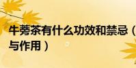 牛蒡茶有什么功效和禁忌(牛蒡茶有什么功效與作用)