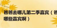 爸爸去哪兒第二季嘉賓(爸爸去哪兒第二期有哪些嘉賓啊)