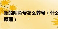 新的陌陌號怎么養號(什么是陌陌養號怎樣的原理)