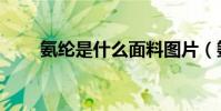 氨綸是什么面料圖片(氨綸是什么)