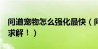 問道寵物怎么強化最快(問道寵物怎么強化!求解!)