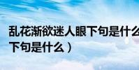 亂花漸欲迷人眼下句是什么(亂花漸欲迷人眼下句是什么)