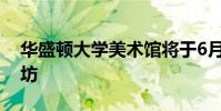 華盛頓大學美術館將于6月2日提供家庭工作坊